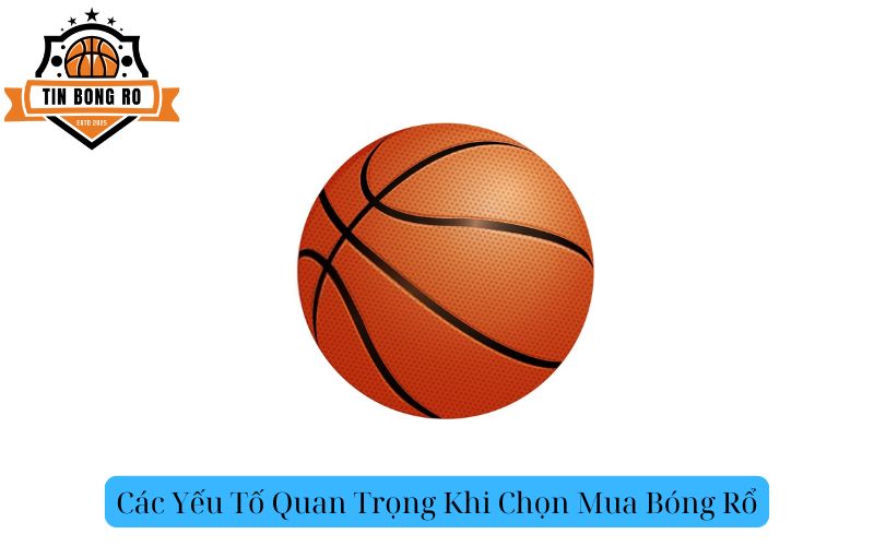 Các Yếu Tố Quan Trọng Khi Chọn Mua Bóng Rổ