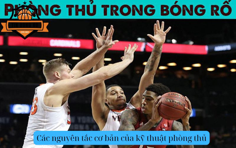Các nguyên tắc cơ bản của kỹ thuật phòng thủ