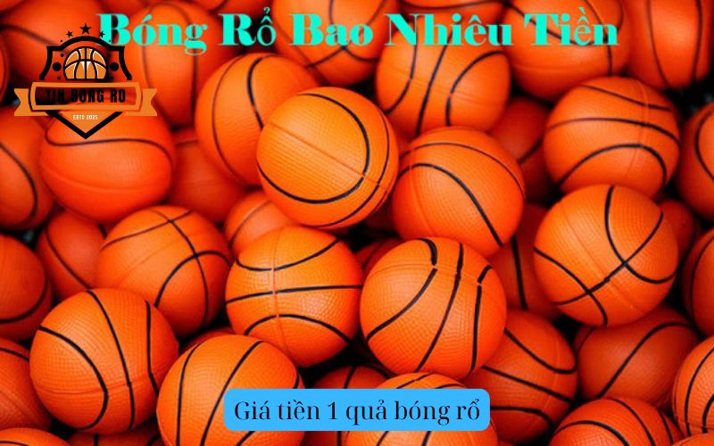 Giá tiền 1 quả bóng rổ