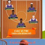 5 vị trí trong bóng rổ và vai trò chiến thuật