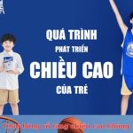 Chơi bóng rổ có tăng chiều cao không? Bí quyết giúp phát triển tối đa!