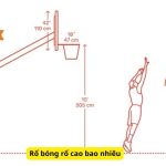 Rổ bóng rổ cao bao nhiêu: Tìm hiểu chi tiết