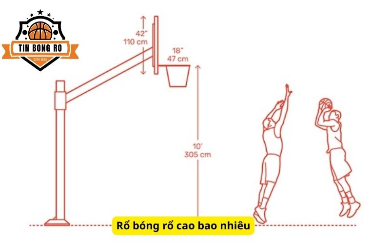 Rổ bóng rổ cao bao nhiêu