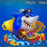 Kinh nghiệm chọn sảnh bắn cá phù hợp với mức vốn cá nhân